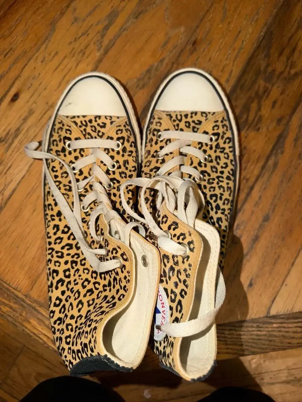 Converse Chuck Taylor All Star High Top Leopard Print Sneakers